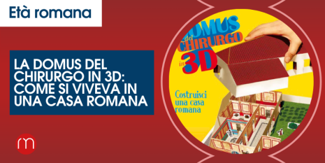 La domus in 3D